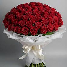 Букет 101 Красная роза Блэк Мэджик в Николо-Варваринке