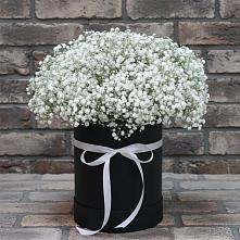 Цветочная композиция из Гипсофила в шляпной коробке в Николо-Варваринке
