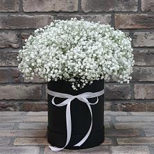 Цветочная композиция из Гипсофила в шляпной коробке в Николо-Варваринке
