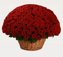 Премиум букет из: Розы в Николо-Варваринке